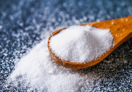 Mishtann Foods expands its Salt portfolio