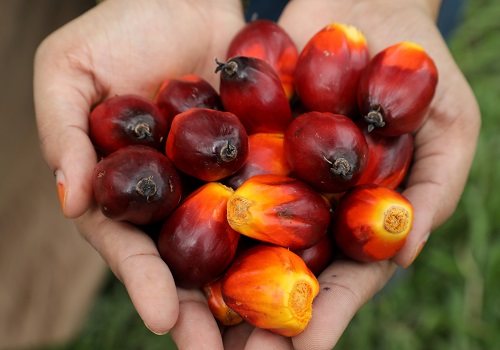 Asian palm oil buyers replenish inventories as prices correct