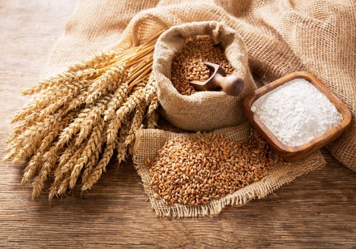 Cabinet clears proposal to restrict export of wheat flour