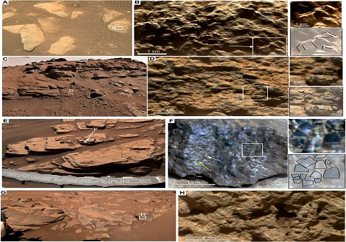 Mars has dark green landscape too, discovers NASA rover