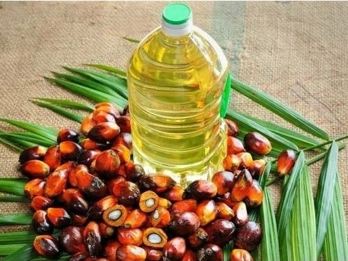 Indonesia extends zero export levy on palm oil
