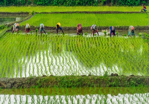 India adopts smart farming strategy to boost small farmers` fortunes