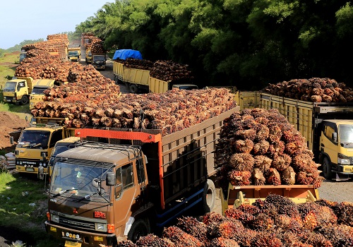 Palm surges nearly 6% on higher soyoil prices, strong India demand