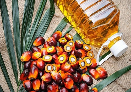 Malaysia end-August palm oil stocks hit 2 million T for first time in 2 years