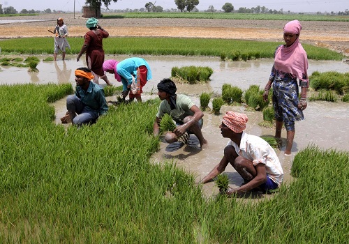 Tamil Nadu government appoints special teams to monitor paddy procurement