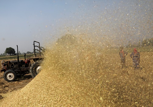 India's rice curbs to lift prices, stoke food inflation worries