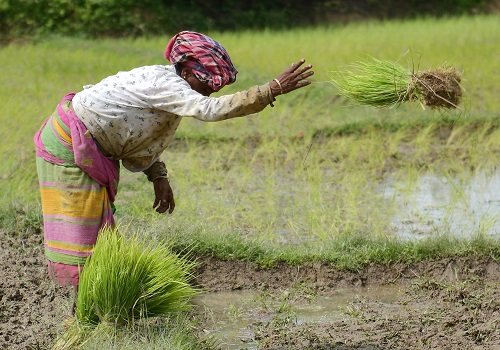 With target of 191L metric tonnes, paddy procurement begins in Punjab
