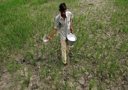 Government`s fertilizer subsidy bill could increase by Rs 40,000 crore this financial year: Crisil