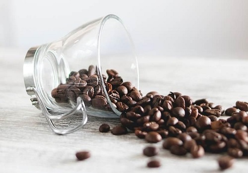 Tanzania to distribute 3 mn coffee seedlings to boost production