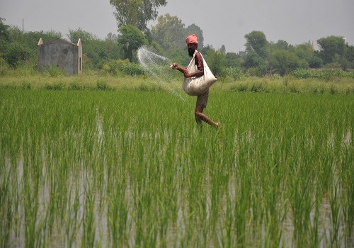 Eight rakes of urea likely to reach Rajasthan daily