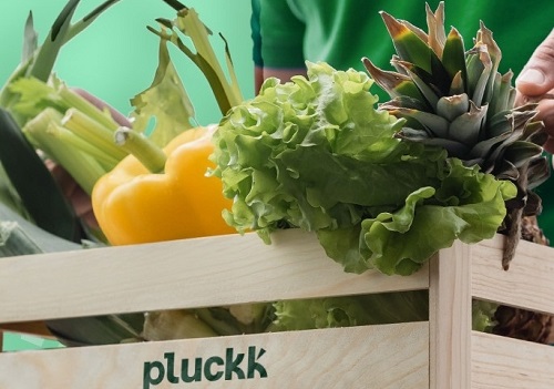 Food-tech venture Pluckk records $5million annualised revenue run rate in Oct
