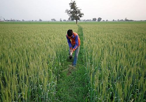 India's wheat planting gathers momentum, acreage up nearly 10%