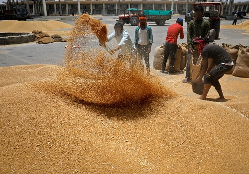 India weighs steps to cool record wheat prices, government sources say