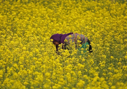India `deeply engaged` in developing GM seeds for 13 crops