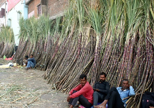 Tamil Nadu farmers demand govt to distribute sugarcane through ration shops