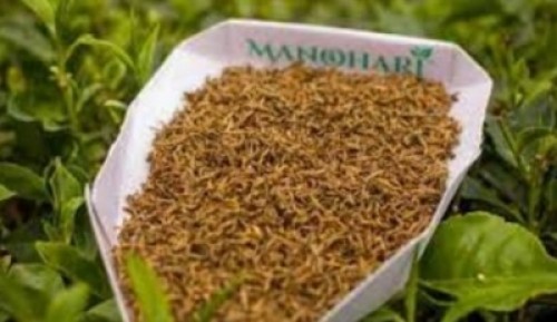 Assam`s `Manohari tea` sold at Rs 1.15L/kg