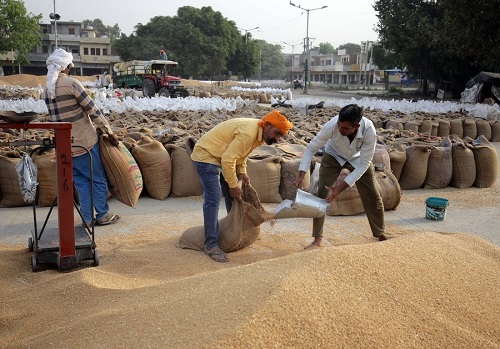 `Procurement and free distribution of rice/wheat reduced wealth inequality during Covid in India'