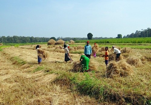 Retail inflation for farm & rural workers eases to 6.38% & 6.6% in December