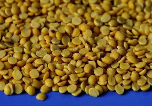 India to import 10 lakh tonnes of tur dal to offset possible production shortfall