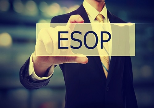 10-yr tax holiday, less holding period of ESOP shares: Startups on Union Budget