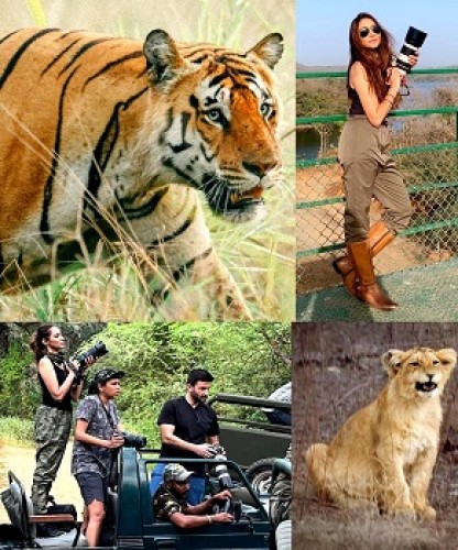 Rishina Kandhari: Wildlife photography is like an addiction