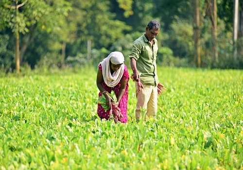 Budget wishlist: Economy can touch $5 tn if lives of marginalised farmers improve