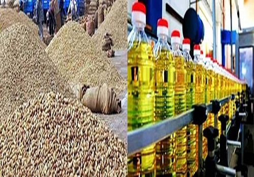 Groundnut oil bullish, but other edibles slip in absence of support