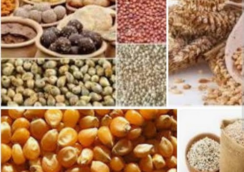 Prices of cereals to be about 15% higher : CRISIL