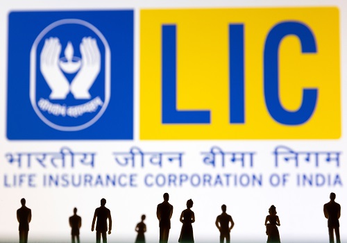 India seeks investment by LIC, pension fund in green energy - sources