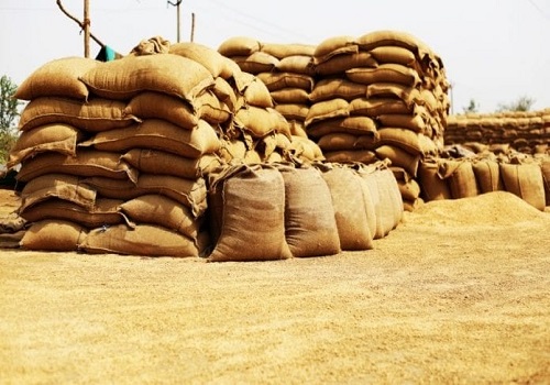 Approximately 11,000 MT of wheat procured in current Rabi season