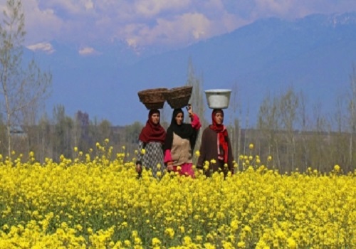 Agriculture, allied sectors get Rs 3,156 cr in Jammu and Kashmir 2023-24 Budget