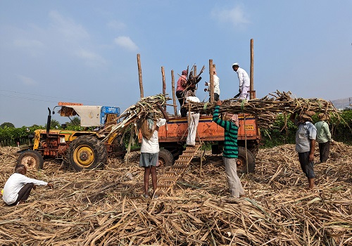 India`s Maharashtra state to produce less sugar as mills close early
