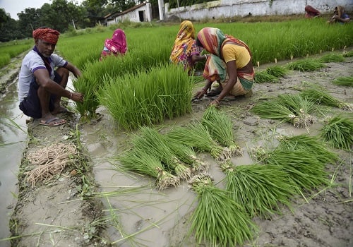Retail inflation for agri and rural workers increases to 6.94% and 6.87% in February