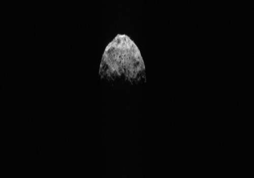 Six vidyagyan students identify 17 asteroids