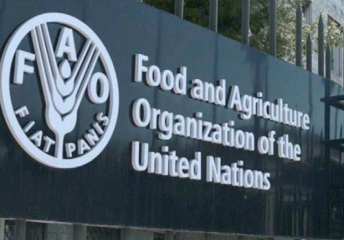 Empowering women in food and agriculture untapped source of growth: FAO