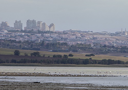 Land sales in greater Istanbul area on rise after February quake