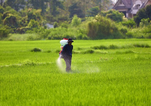 Ind-Ra maintains neutral outlook for fertilizer sector for FY24