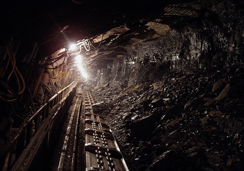 Government says steps will be taken to expedite domestic coal production