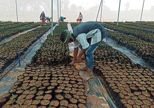 India`s April palm oil imports slump 30% to 14-month low