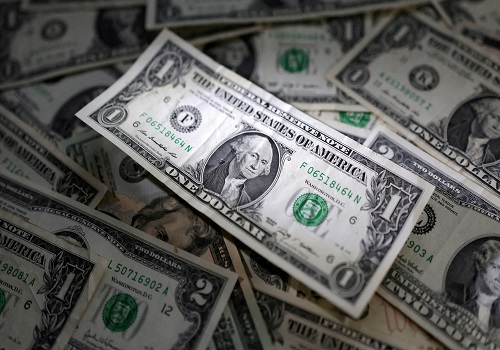 Dollar steady, with Fed pause eyed in busy central bank week