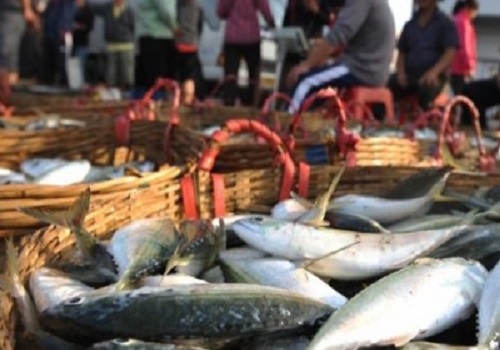 Seafood exports touch all-time high of 17,35,286 million tonnes in 2022-23