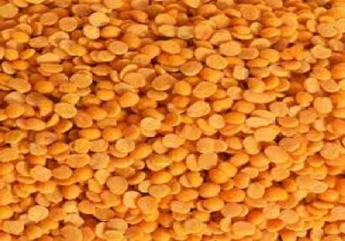 Centre imposes limit on tur, urad dal stocks of wholesalers, big chain retailers