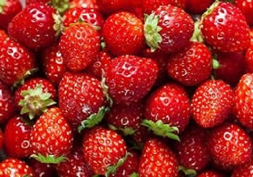 Eating strawberries daily may boost cognitive function, cut BP in elderly