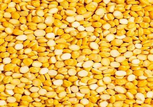Government launches chana dal at subsidised rates under brand name