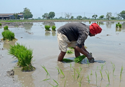 Deficient rainfall, lower sowing of rice & pulses push prices higher