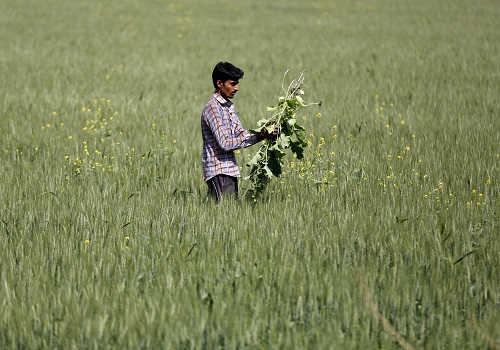 India's Coromandel counts on drone startup to tackle farm labour shortage