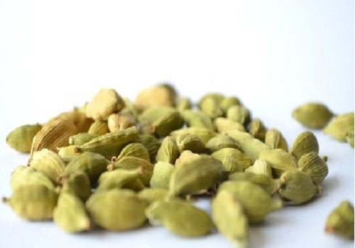 `Superfood` cardamom may increase appetite, burn fat