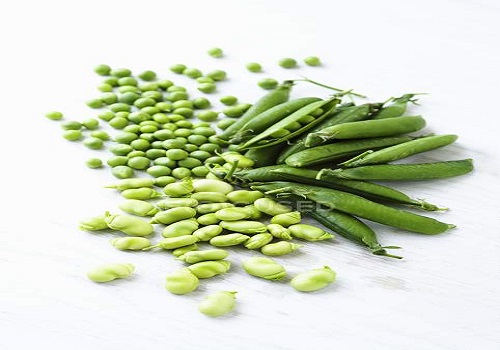 Increasing peas and beans, limiting red meat safe for bone health, protein intake
