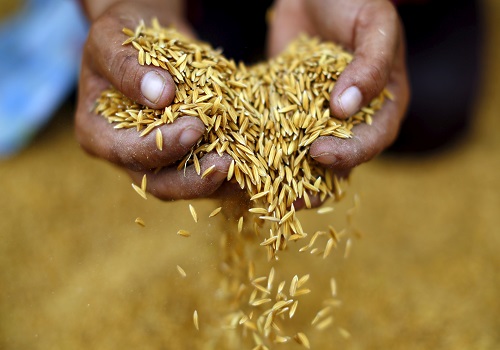 Thailand's rice exports benefiting from India's export ban - minister