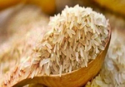 Global rice price index at highest since 2011 after India restricts exports